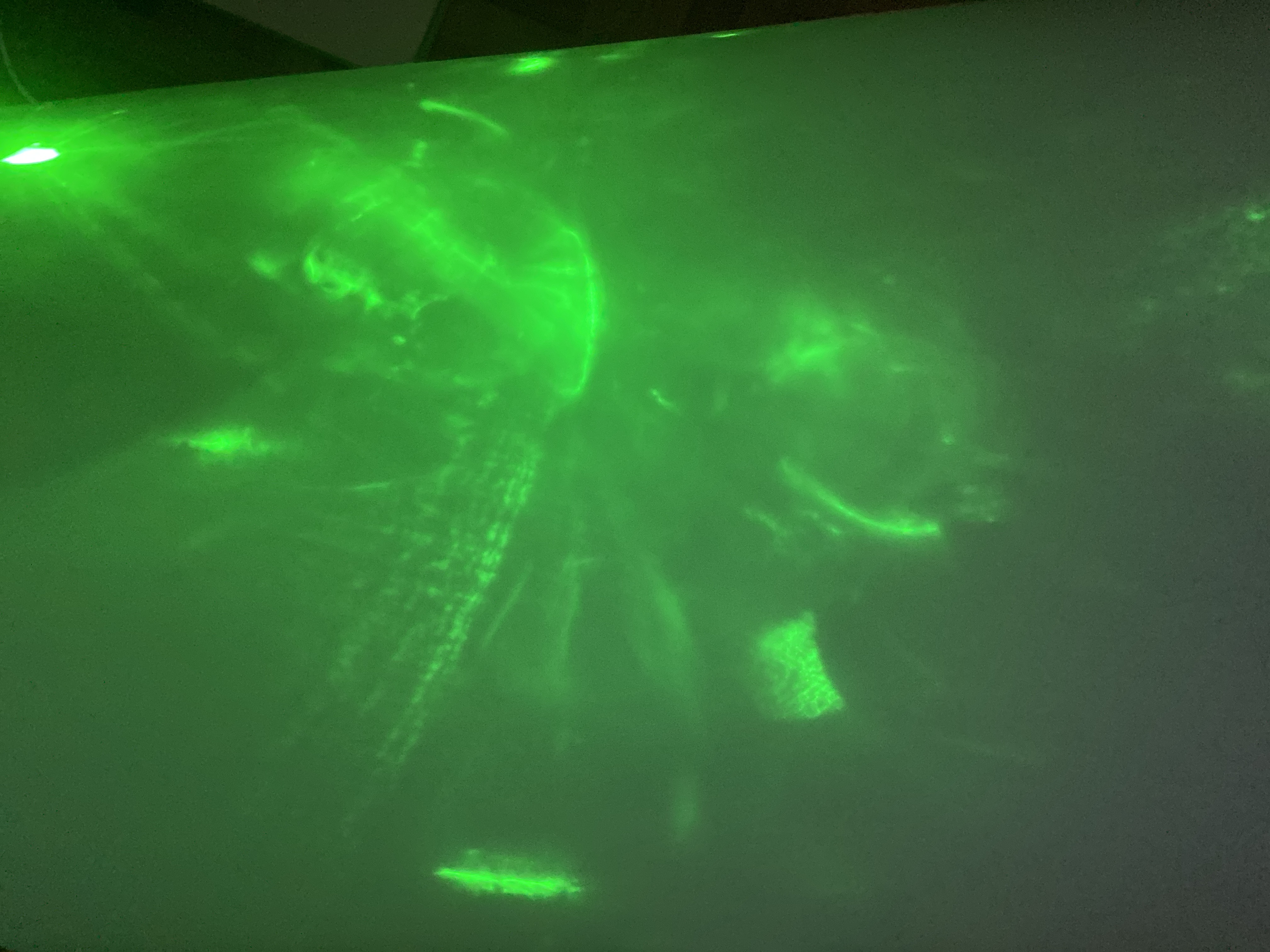 NOERIS green optical signature